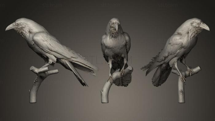 Статуэтки птицы Обыкновенный ворон
